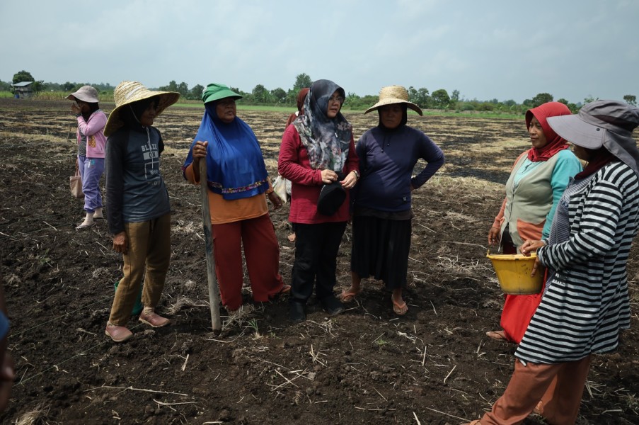 Petani Teluk Lanus Keluhkan Irigasi, Ratusan Hektare Lahan Tak Bisa Digarap