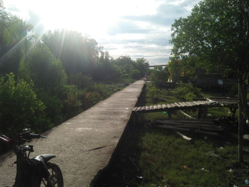 Warga Teluk Pulai Darat Dambakan Listrik PLN