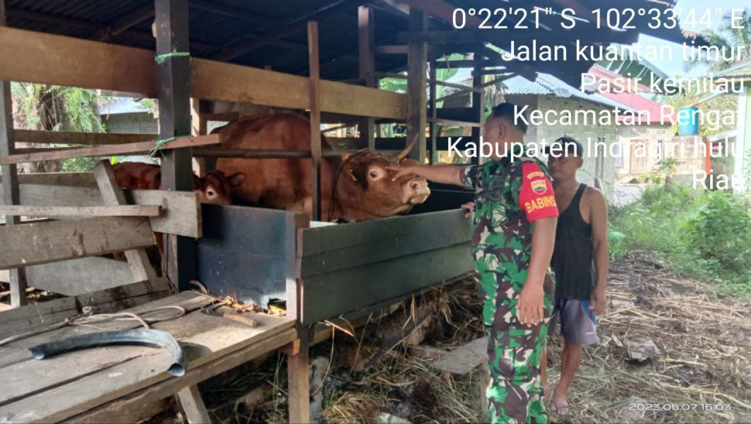 Babinsa Berikan Motivasi Bagi Warga Yang Memiliki Ternak Sapi Terkait PMK