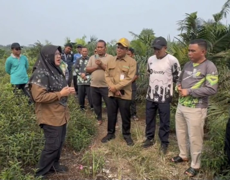Bupati Siak Jawab Tiga Pertanyaan Presiden Soal Solusi Karhutla