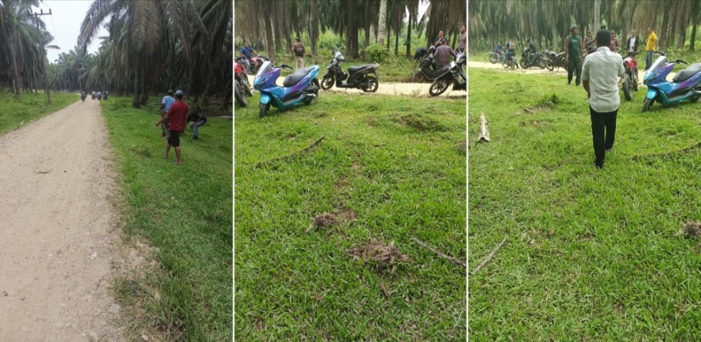 Lahan HGU Mati Atau Berproses Tetap Sah Milik Perusahaan, Masyarakat Tidak Berhak Ambil Alih