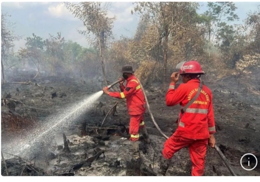 Polres Kampar Riau selidiki dugaan lahan 30 hektare sengaja dibakar