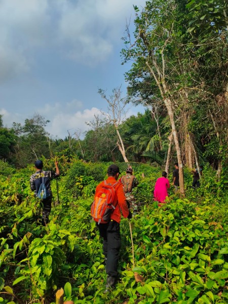 Tim SAR Gabungan Sisir Kebun Cari Lansia 80 Tahun yang Hilang di Meranti