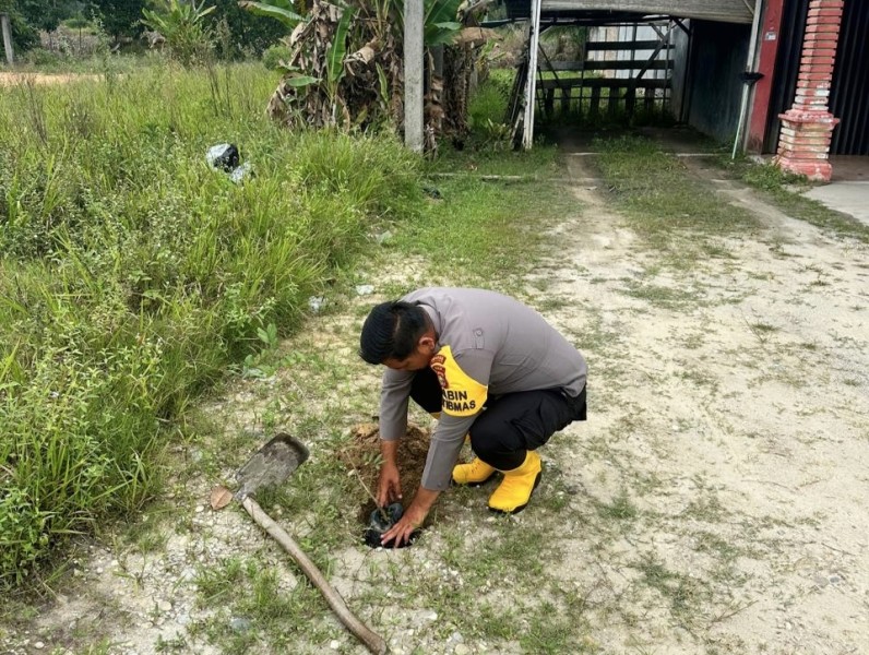 Polsek Pujud Gencarkan Green Policing, Penanaman Pohon Dimulai dari Pekarangan Warga