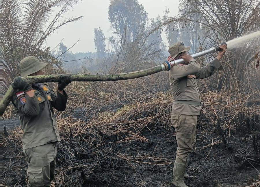Mengurai Kabut Meretas Bara, Satpol PP Riau Berjuang di Hutan Dayun Siak