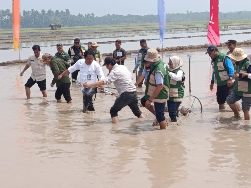 Bengkalis Dukung Percepatan Swasembada Pangan melalui Gerakan Tanam dan PM-AAS
