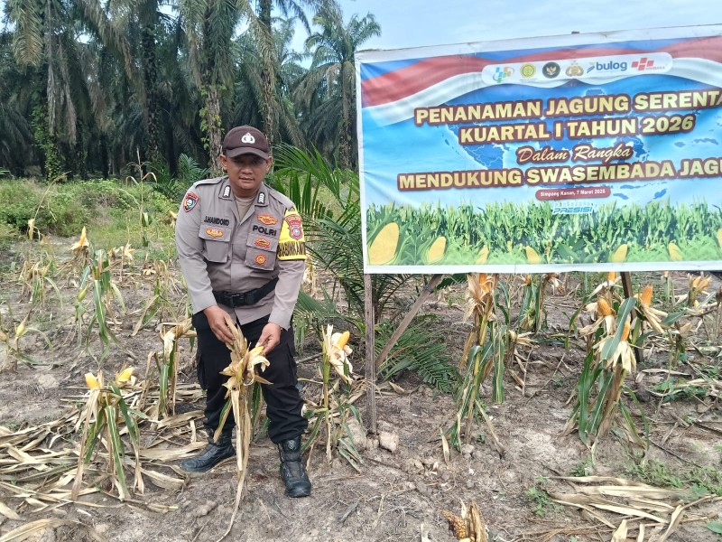 Polsek Simpang Kanan Sosialisasikan Program Green Policing Melalui Penanaman Bibit Pohon di Pekarangan Warga