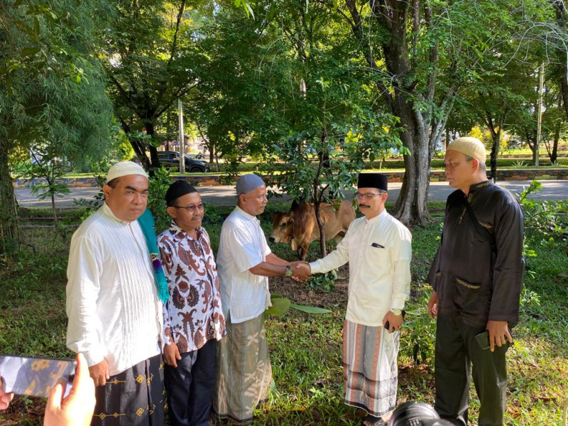 Pj Bupati Aceh Tamiang, Meurah Budiman Serahkan 1 Ekor Sapi Qurban Pada Wartawan