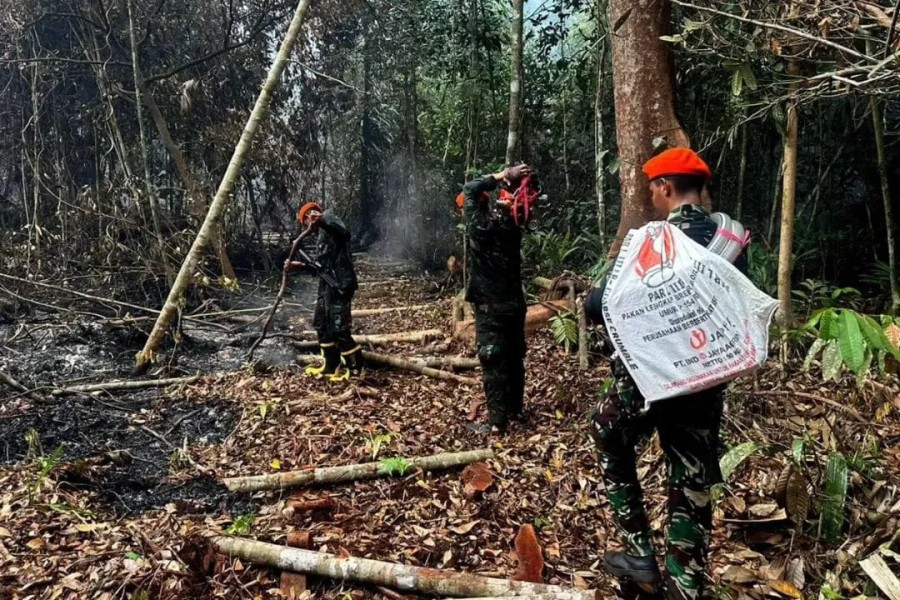 Tiga Tim Kopasgat Kembali Diterjunkan ke Lokasi Karhutla di Pelalawan