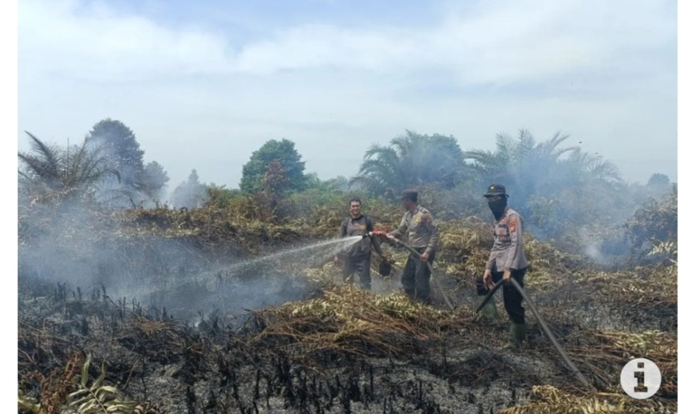 61 titik panas terdeteksi di Riau, terbanyak di Rohil