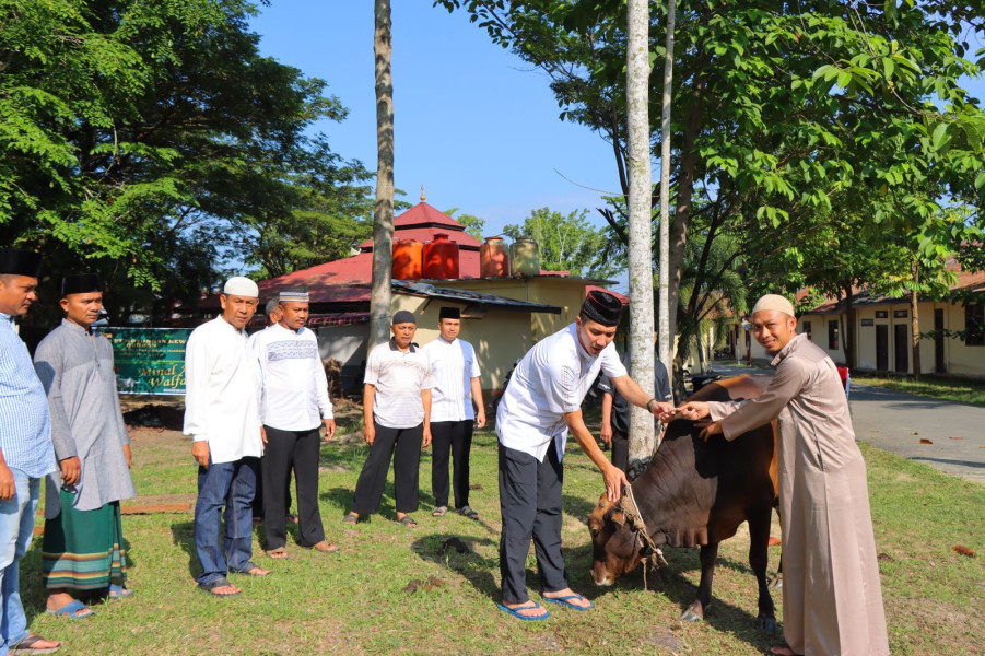 Idul Adha 1444 H 2023, Polres Rohil Sembelih 29 Hewan Qurban