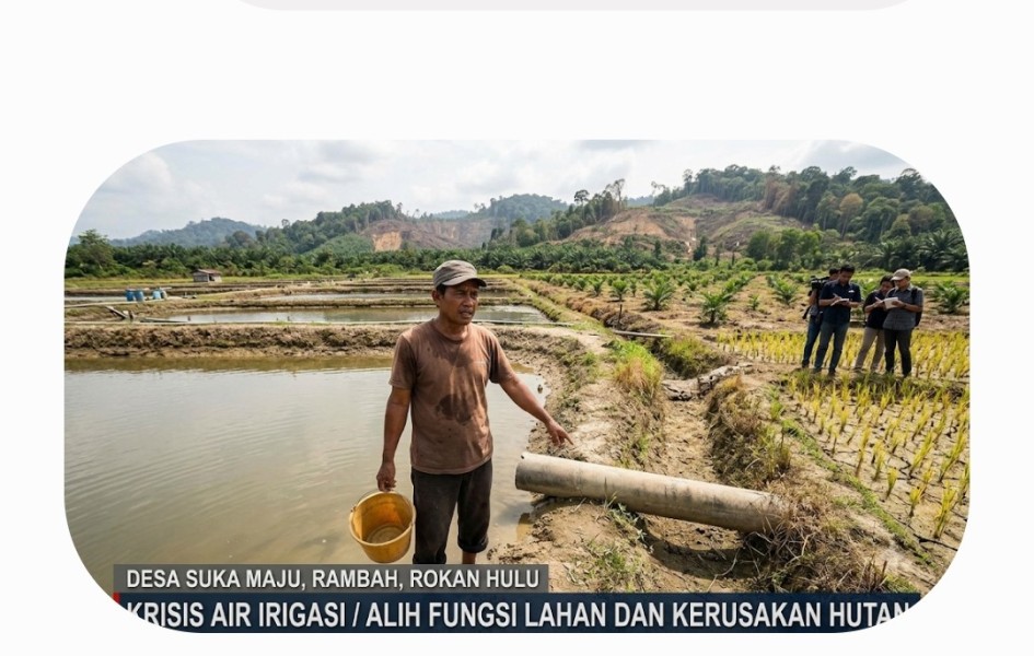 Petani Kolam Ikan Mengaku Jadi Kambing Hitam Krisis Air Irigasi, Aktivis Desak Pemerintah Usut Dugaan Kerusakan Kawasan Hutan.