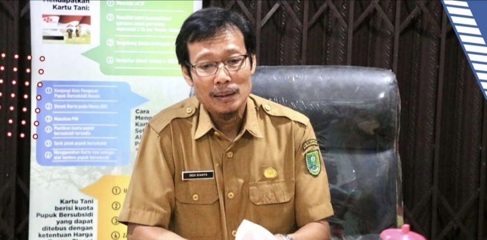 Dugaan Mark-up Pengadaan Bibit Sawit Dinas Pertanian dan Perikanan Inhu: Harga Jauh di Atas Standar