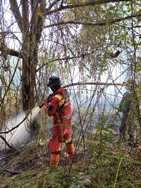 10 Hektare Lahan Terbakar di Dayun, Manggala Agni Kejar Penyekatan 200 Meter Lagi