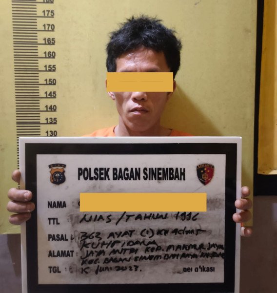 Tersangka TP Pencurian Buah Kelapa Sawit Diamankan Polsek Bagan Sinembah