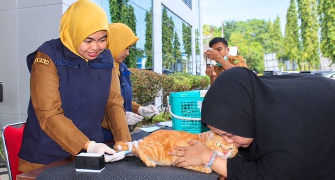 Cegah Penularan Rabies, DPKH Riau Vaksin Gratis 204 Hewan di Pekanbaru