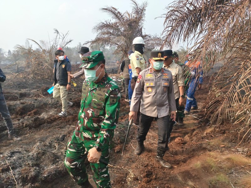 Atasi Karhutla 34 Hektare, Pangdam dan Kapolda Riau Turun ke Dayun