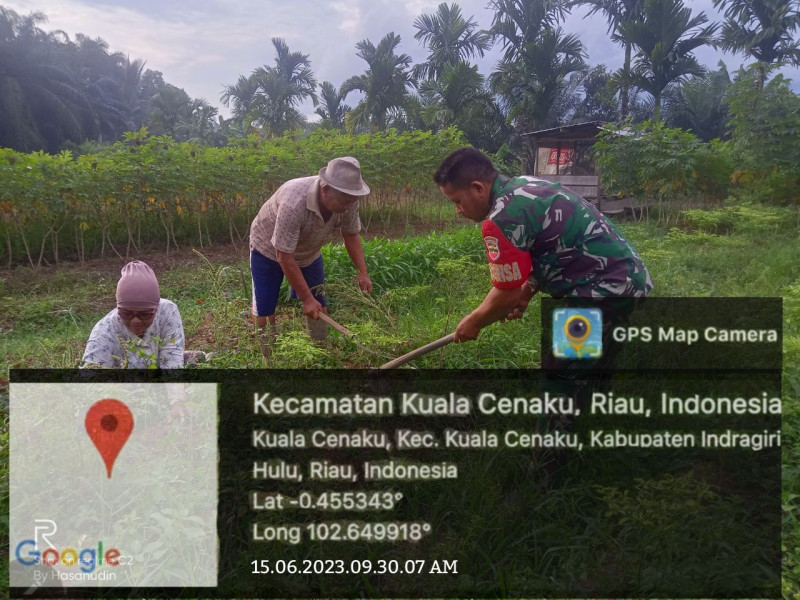 Wujudkan Swasembada Pangan, Babinsa Bantu Petani Bersihkan Rumput Liar di Lahan Sayuran
