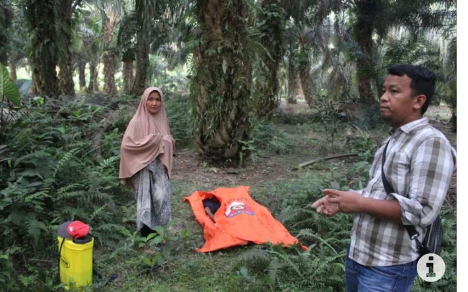 Pria di Kampar ditemukan tewas saat menyemprot hama di kebun sawit