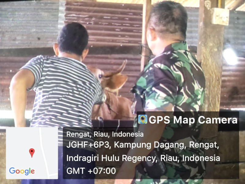 Peduli Kesehatan Hewan Ternak Warga Babinsa Cek Langsung Kekandang