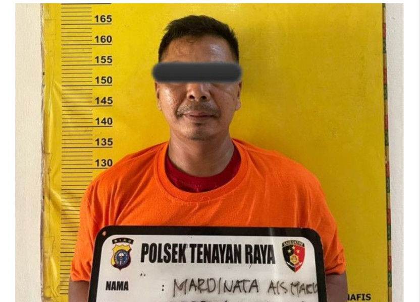 Gara-gara 'Polisi Tidur' Pria di Pekanbaru Ini Diduga Pukul Lansia
