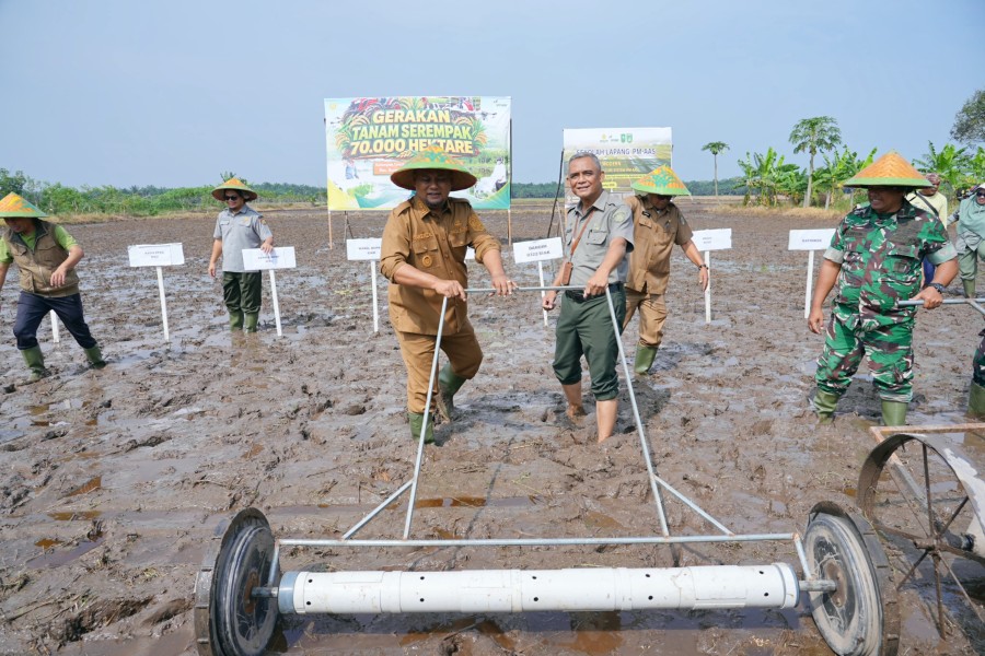 Siak Terima Program Penanaman 70.000 Hektare, Perkuat Peran Bungaraya sebagai Lumbung Pangan