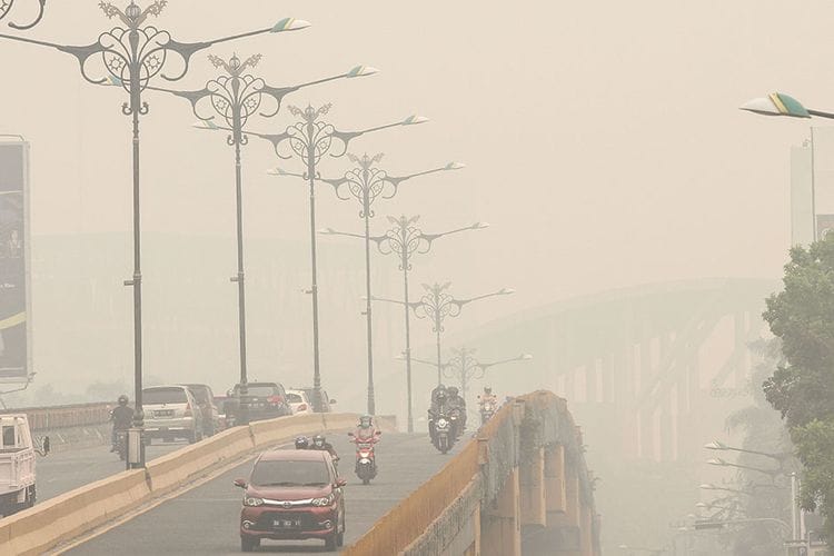 Kabut Asap Mengancam Kesehatan Warga, Ketua KNPI Riau: 'Karhutla ini Ada Karena Gakkum Lemah'