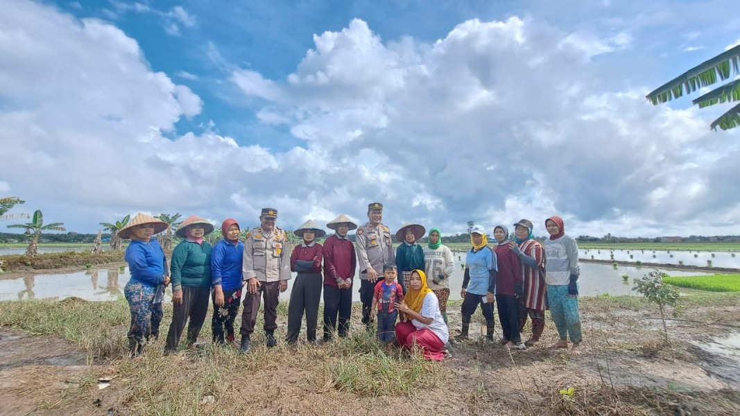 Bantu Petani Bajak Sawah Sambil 'Ngopimas', Polsek Bungaraya Ajak Masayarakat Ciptakan Pemilu Aman, Damai dan Berintegritas