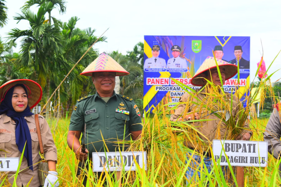 Dandim 0302/Inhu Diwakili Kasdim 0302/Inhu Hadiri Panen Raya Desa Pasir Kemilu