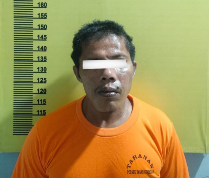 Setubuhi Anak Tiri Kelas 4 SD Setahun, Ayah Tiri Bejat Diringkus Polsek Bagan Sinembah