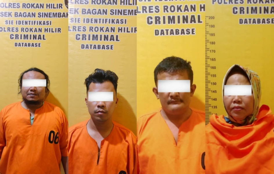 Culik dan Sekap IRT, 4 Pelaku Diringkus Polsek Bagan Sinembah, Ada Oknum PNS Masih DPO