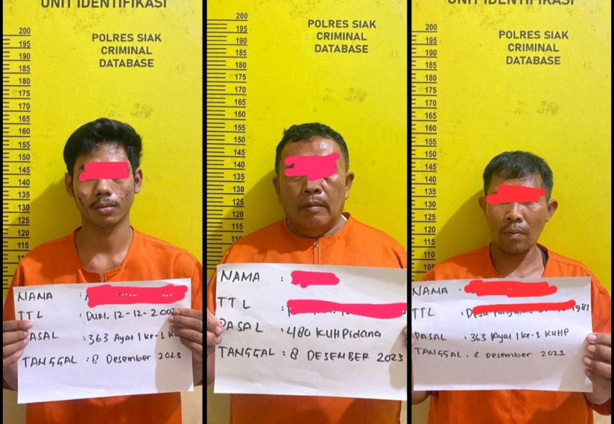 Polres Siak Tangkap 3 Orang Kawanan Pencuri Hewan Ternak