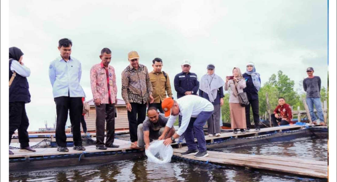 Pemkab Meranti Tebar Ribuan Benih Kakap Putih di Sialang Pasung Rangsang Barat
