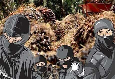 Kasus Pencurian dan atau Penadah Buah Kelapa Sawit, Ketua DPD KNPI Riau Angkat Bicara