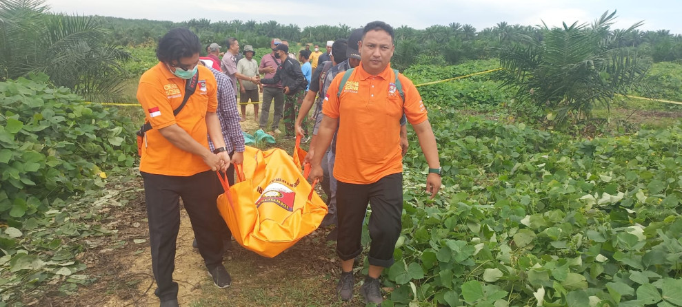 Mayat Pria Ditemukan di Kebun Sawit PT Socfindo Aceh Tamiang, Diduga Kelelahan