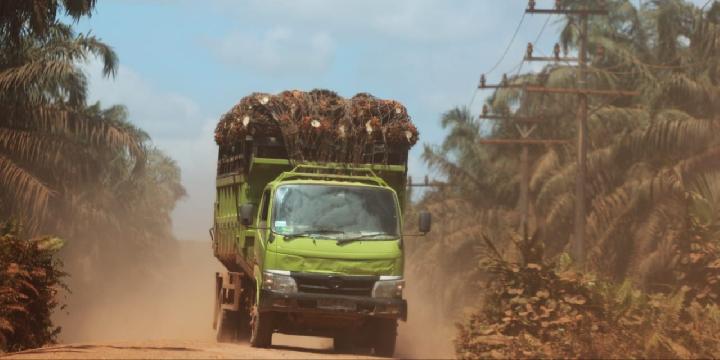 Pemerintah Sebut Masa Depan Sawit Indonesia Cerah di Pasar Eropa