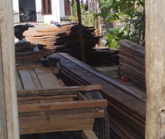Kayu ilegal marak di Kubu- Kuba Setoran lancar.