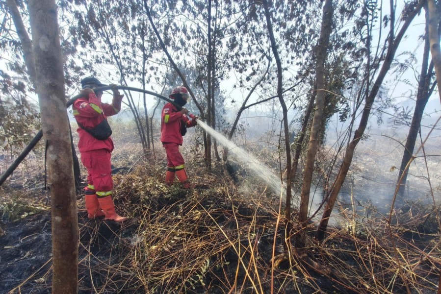 Demi Kejar Api Sejak Pagi, Tim Manggala Agni Menginap Dekat Lokasi Karhutla Pematang Pudu
