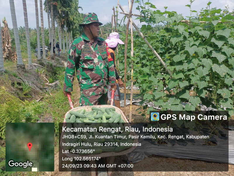 Dengan Memanfaatkan Lahan Yang Ada Dengan Serius dan Tanami Sayur Yang Produktif Hasil Akan Lumayan