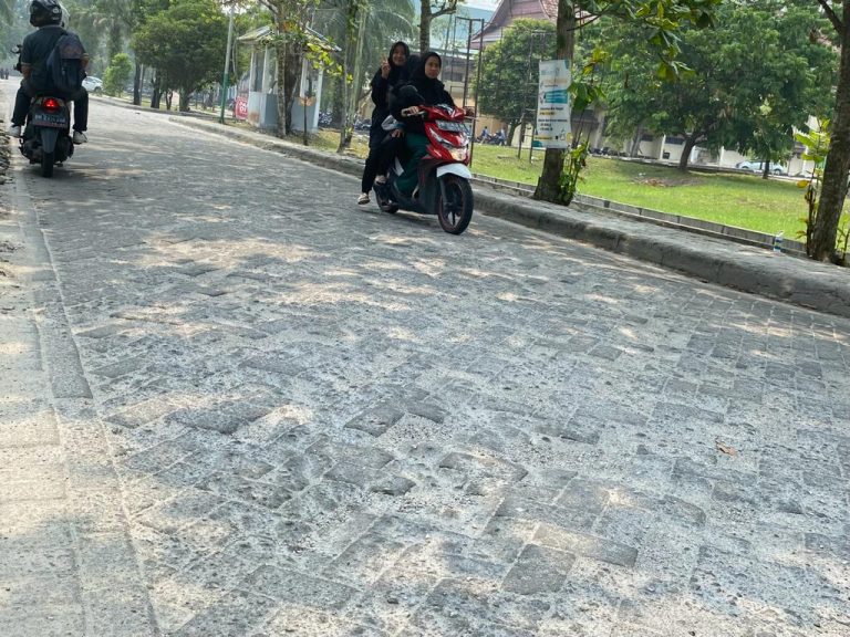 Berlubang dan Tidak Rata, Mahasiswa Keluhkan Jalan di Sekitar FST