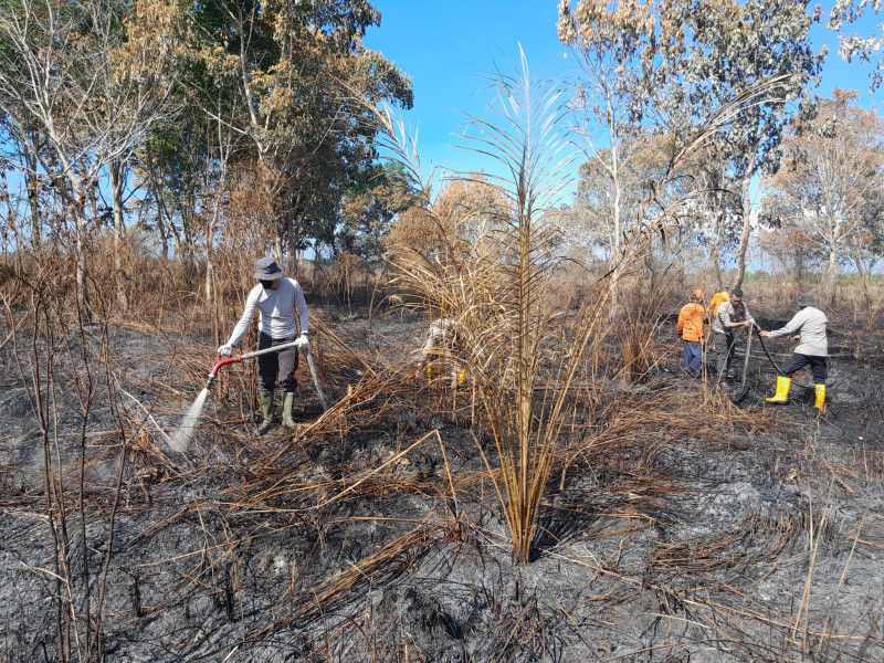 Seluas 18 Ha Lahan Masyarakat di Kubu dan Palika Terbakar