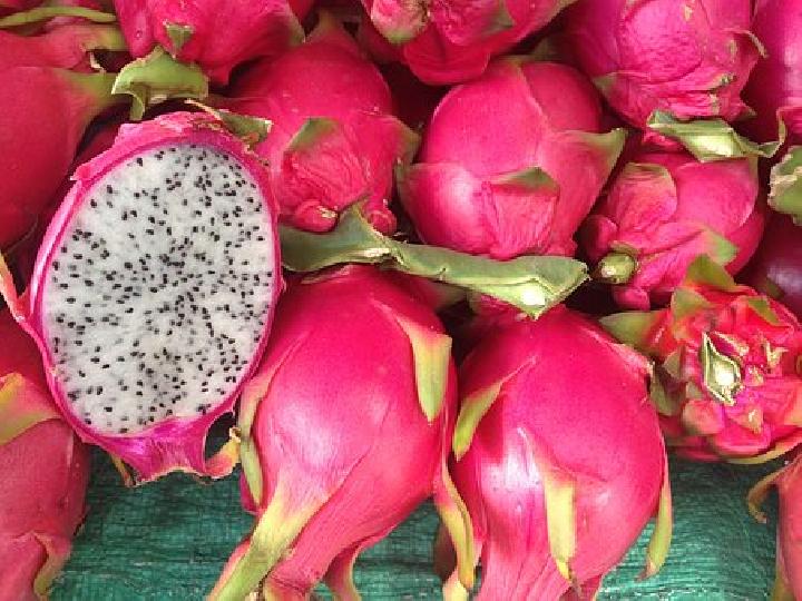3 Orang yang Tidak Dianjurkan Makan Buah Naga