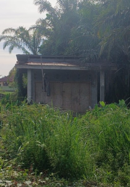 Dana BUMKep Rp252 Juta di Kubu I Disorot