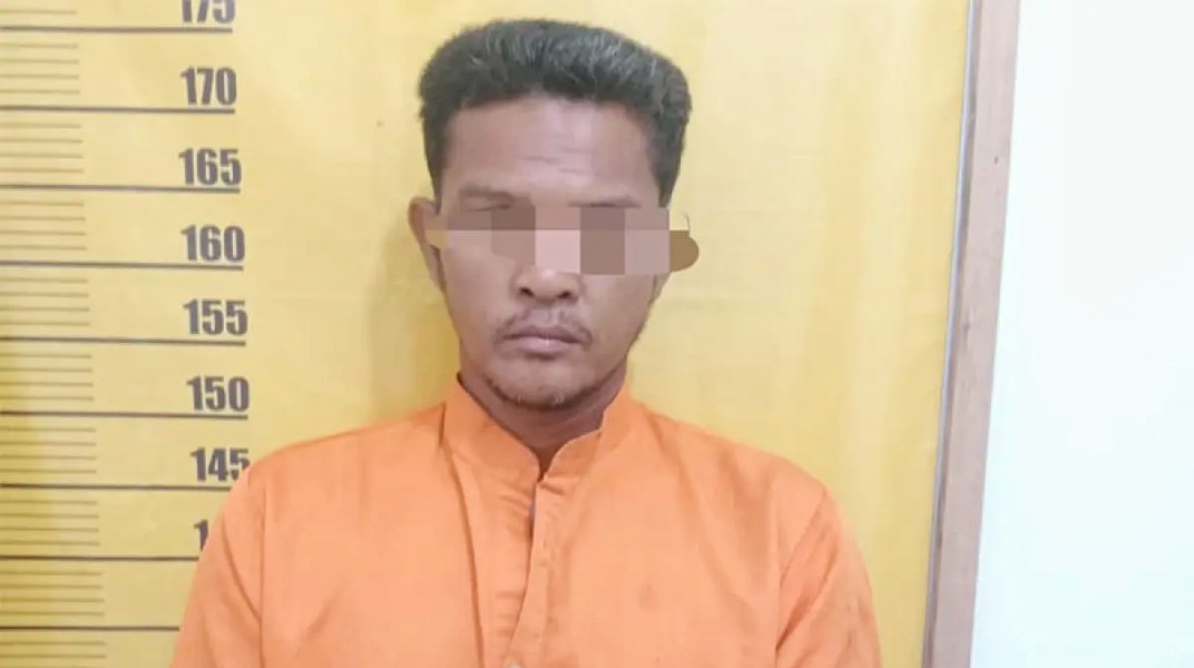 Awalnya Bakar Kayu, Api Menjalar ke Lahan Warga, Pria di Tambang Diamankan Polisi