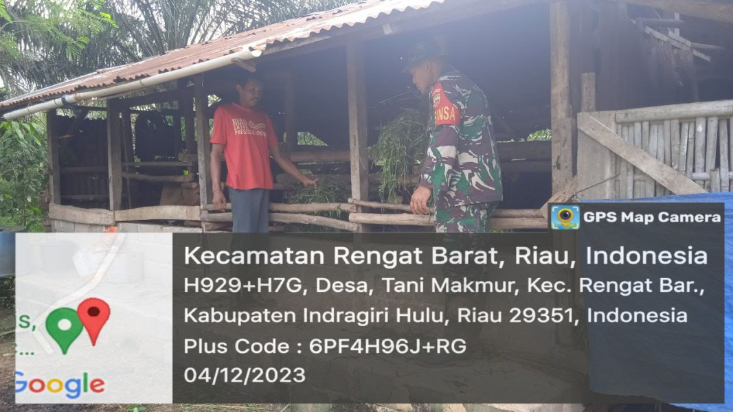 Terus Lakukan Turun Ke Lapangan dan Babinsa Pastikan Wabah Penyakit PMK di Desa Binaan.