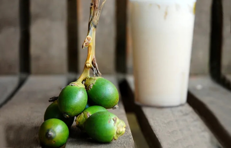 6 Manfaat Jus Pinang Muda bagi Kesehatan Tubuh