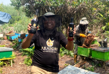 AKASORA, Madu Premium dari Hutan Akasia Riau