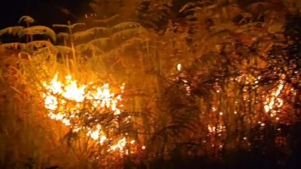 Api Karhutla Membara di Kampar Malam Ini, Pasokan Air Jadi Kendala Pemadaman